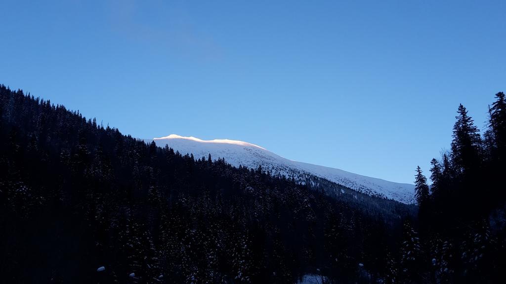 Apartmán Chopok Juh Romantika 14 Tale Bagian luar foto